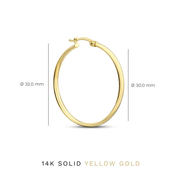 Celestial Harmony Earrings | 14k Gold